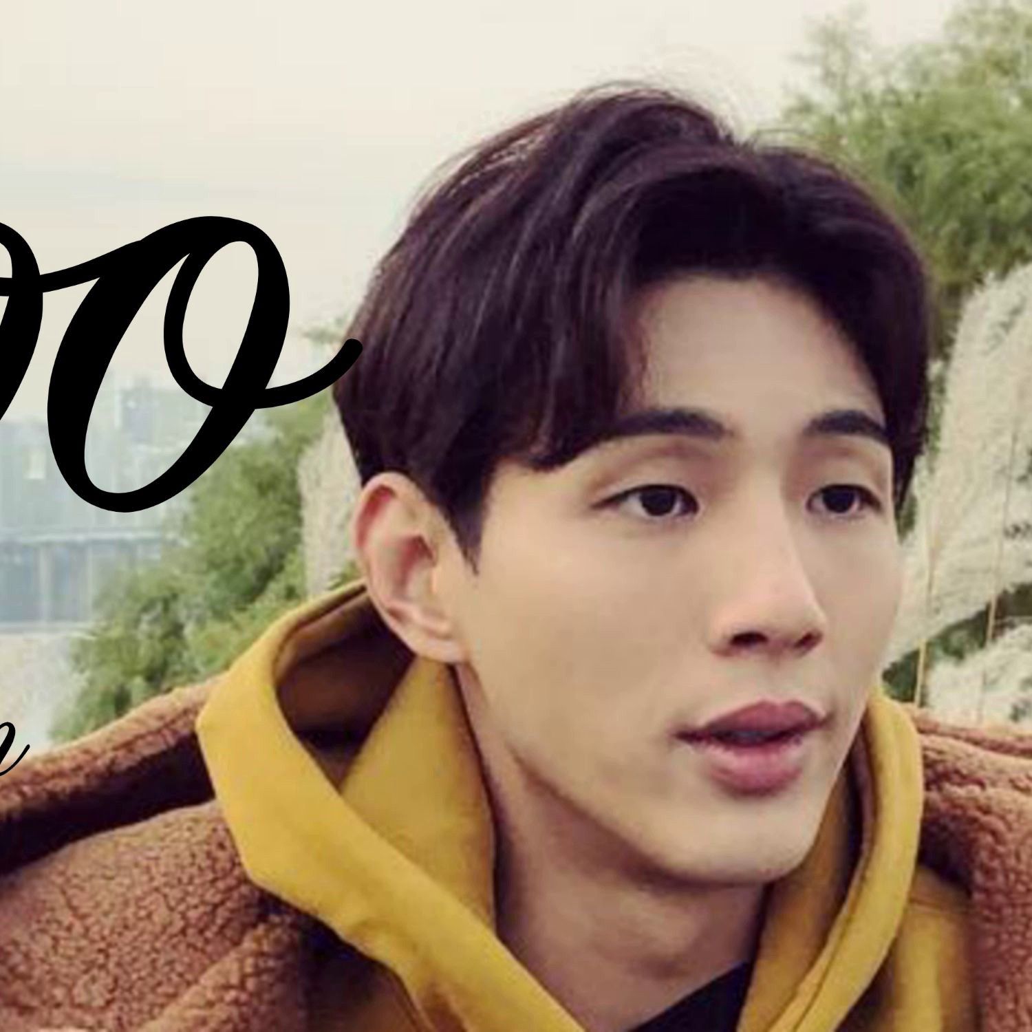 A moment captured by a fan of Jisoo