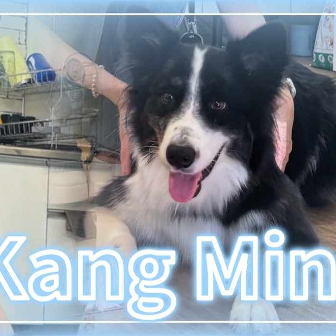 A moment captured by a fan of Kang Minah