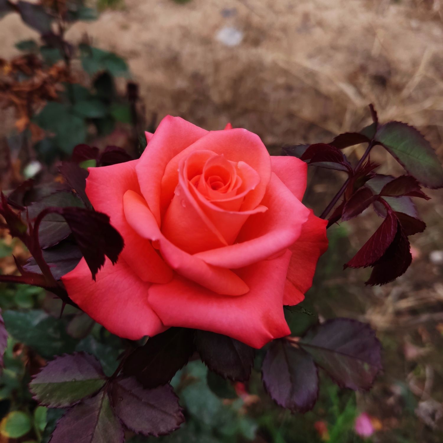 A moment captured by a fan of Doh Kyungsoo (D.O.)