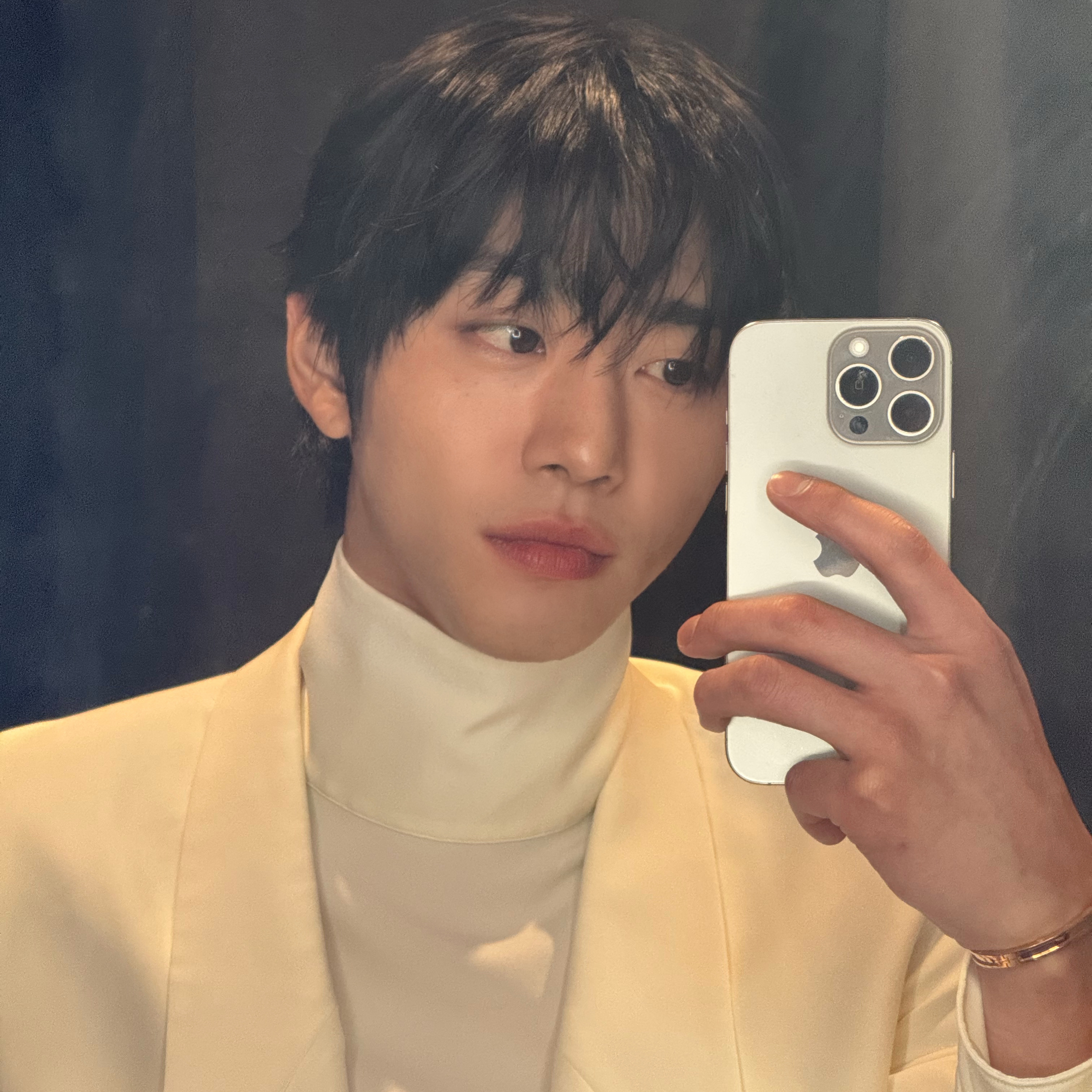 安孝燮的幕后花絮