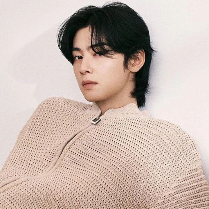 チャ・ウヌの最近の活動ショット