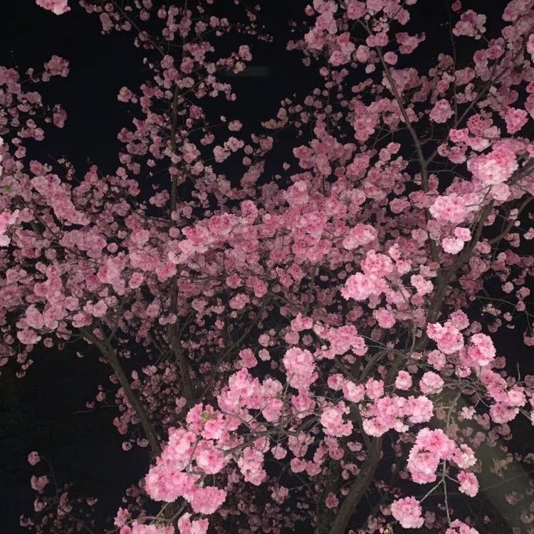 Latest photo of KAI