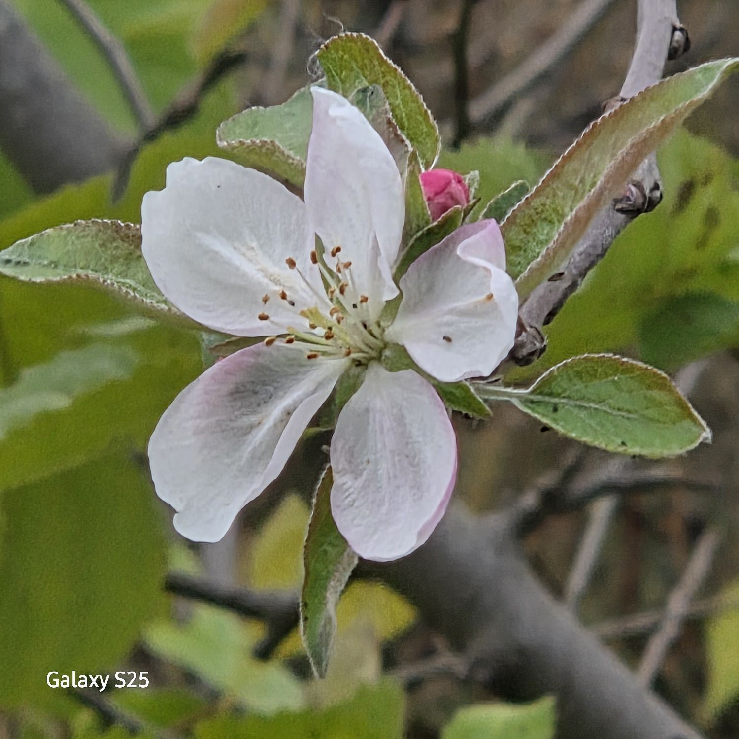 张民好的近期活动照