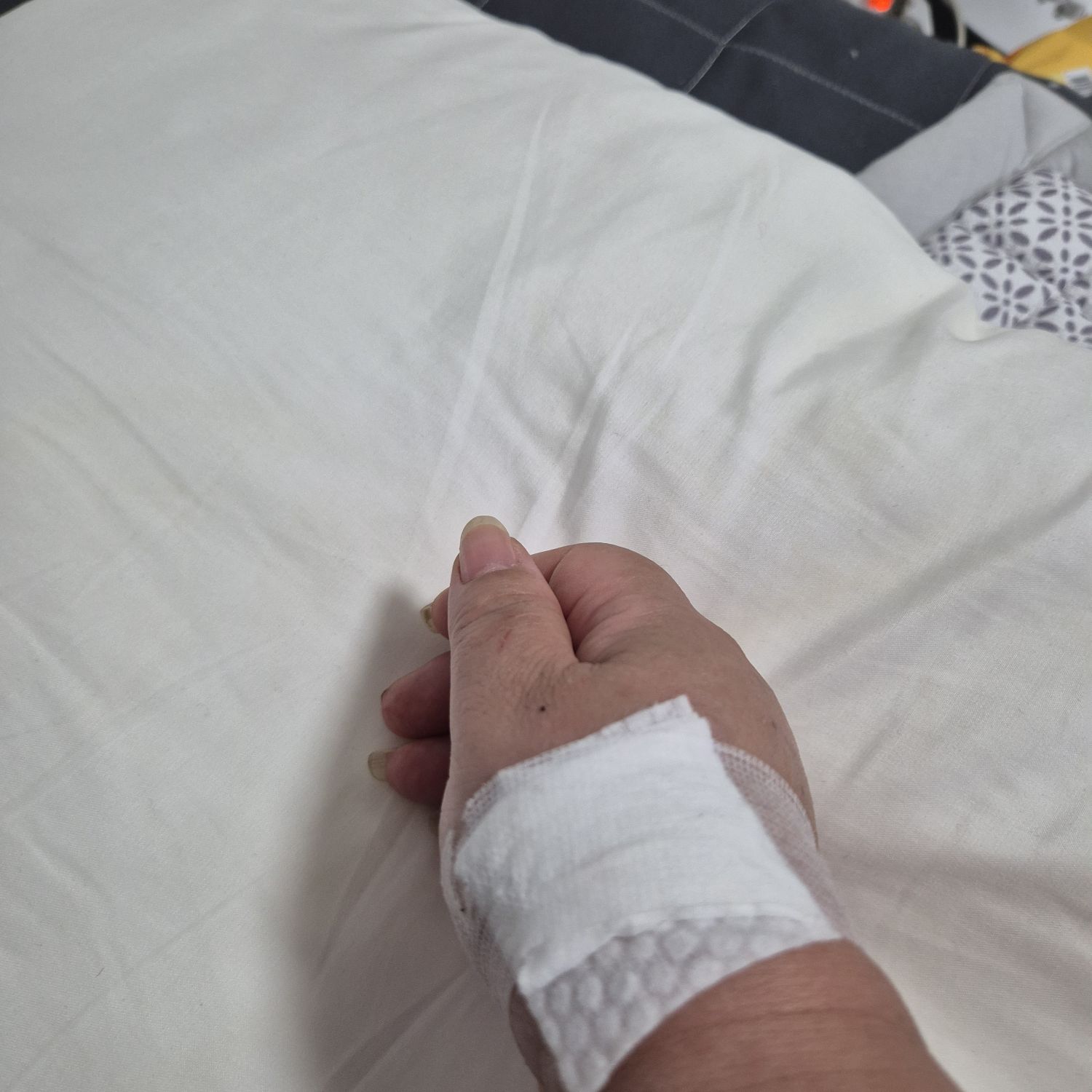 粉絲拍下的鄭東元瞬間