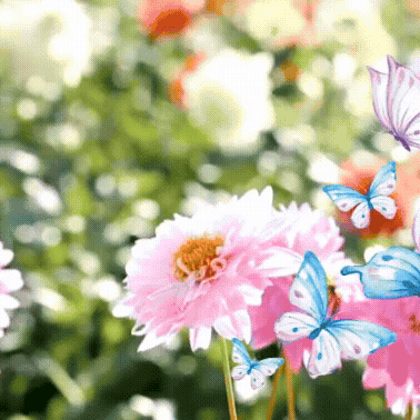 Recent activity shot of Son Taejin