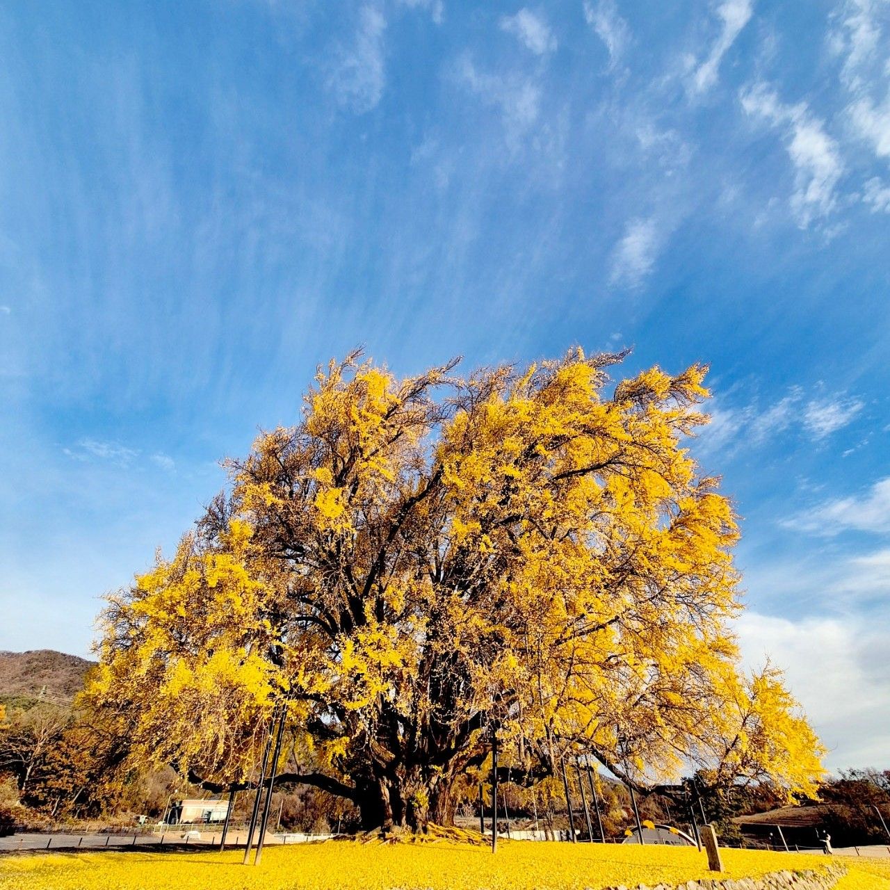 A moment captured by a fan of Kim Seonho