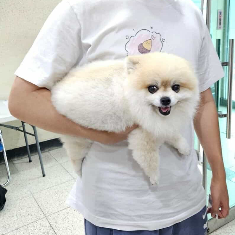 Gumayusi的幕后花絮