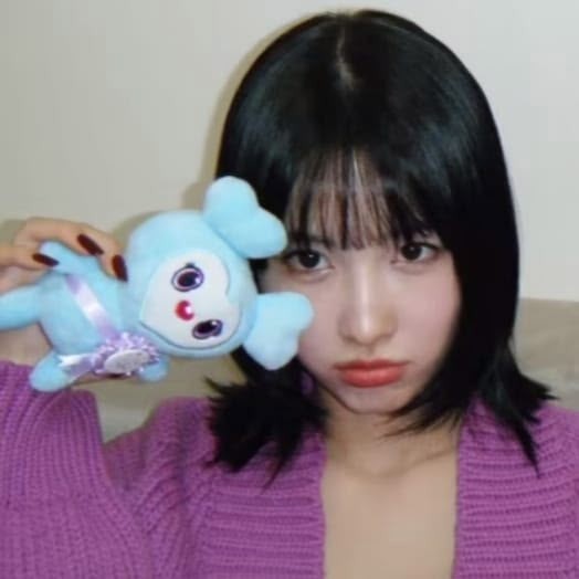 모모 팬이 찍은 순간