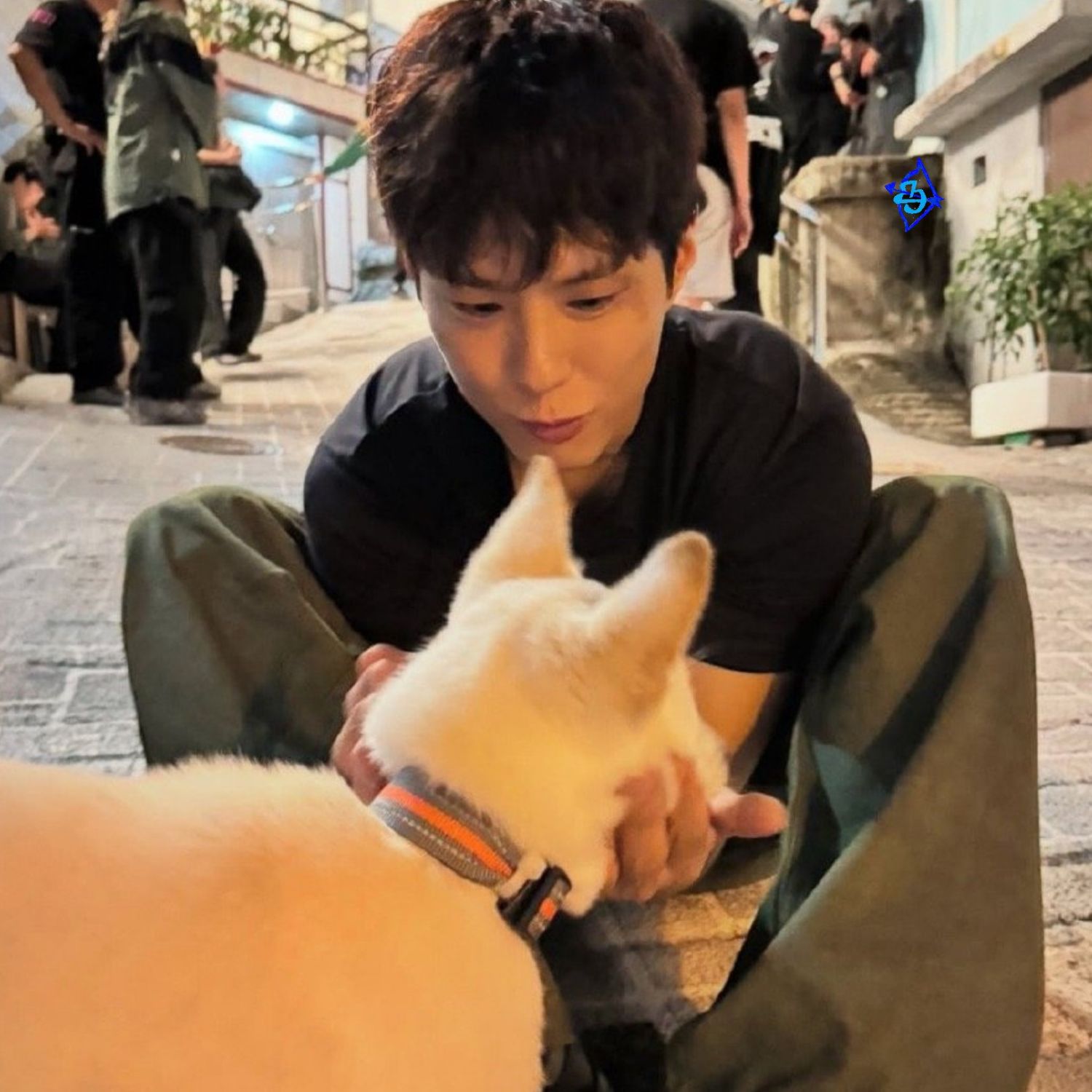 Recent activity shot of Park Bogum