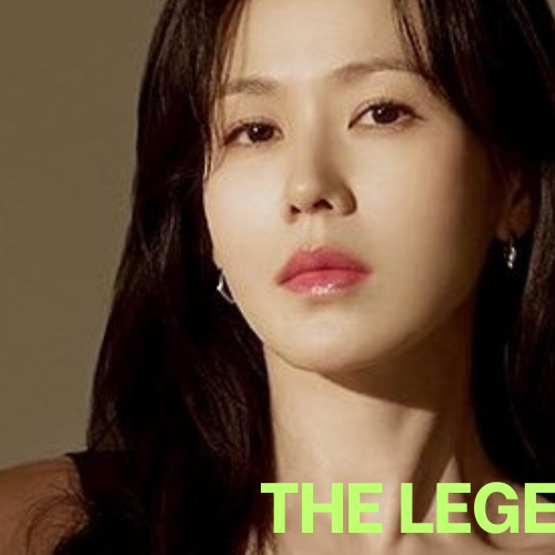 ソン・イェジンの最近の活動ショット