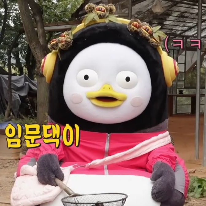 Recent activity shot of Pengsoo