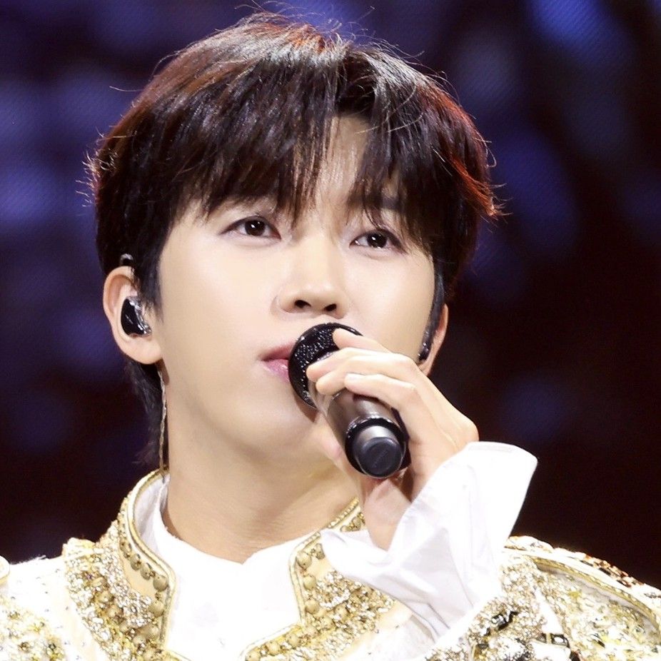 임영웅 팬이 찍은 순간