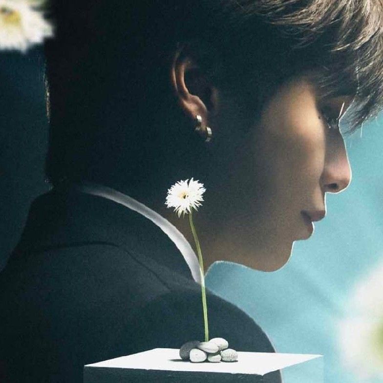 Latest photo of Secret Garden