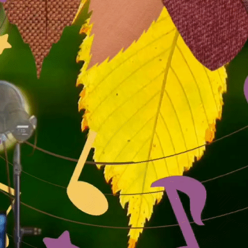 金浩中的幕后花絮