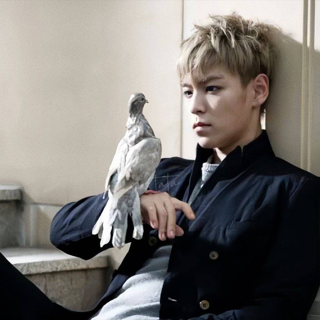 community_articles_contents