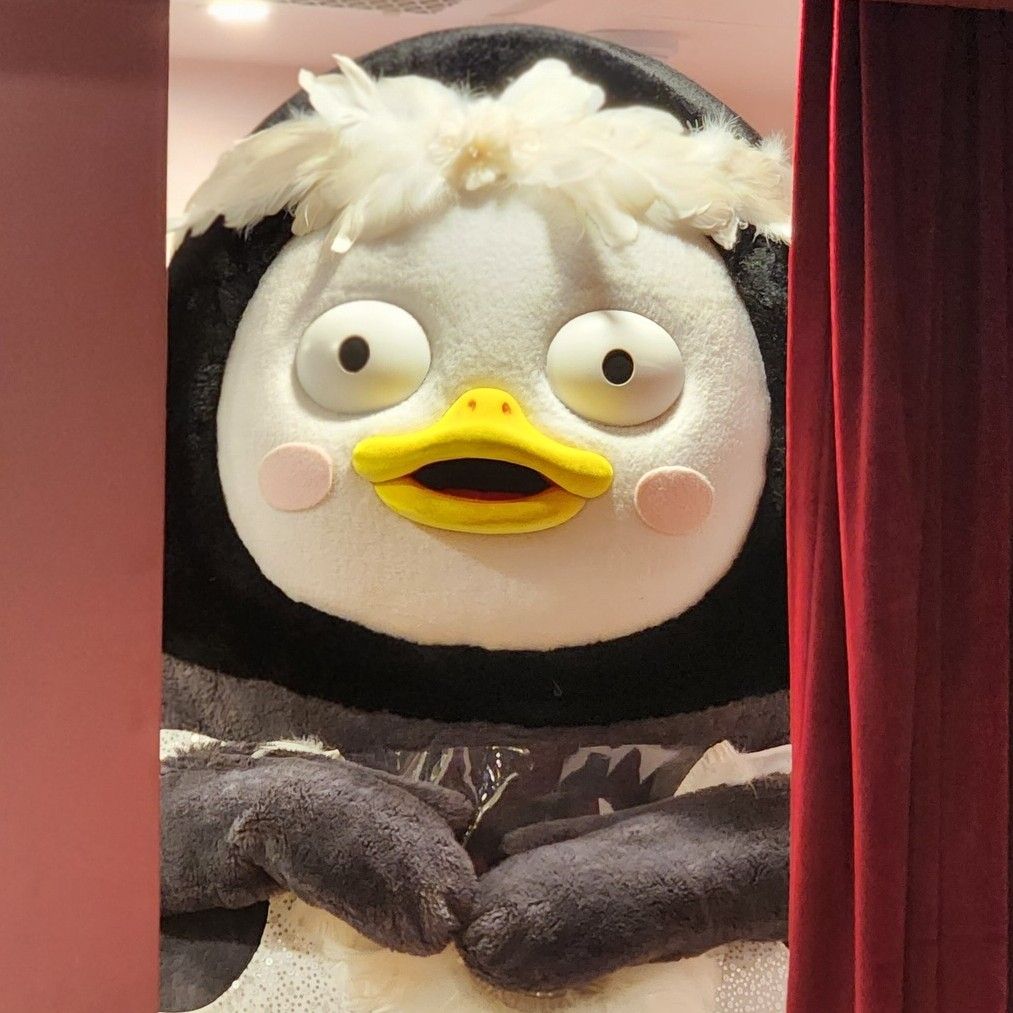 Foto terbaru dari Pengsoo