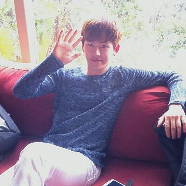 Latest photo of Hoya