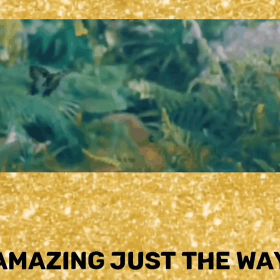 community_articles_contents