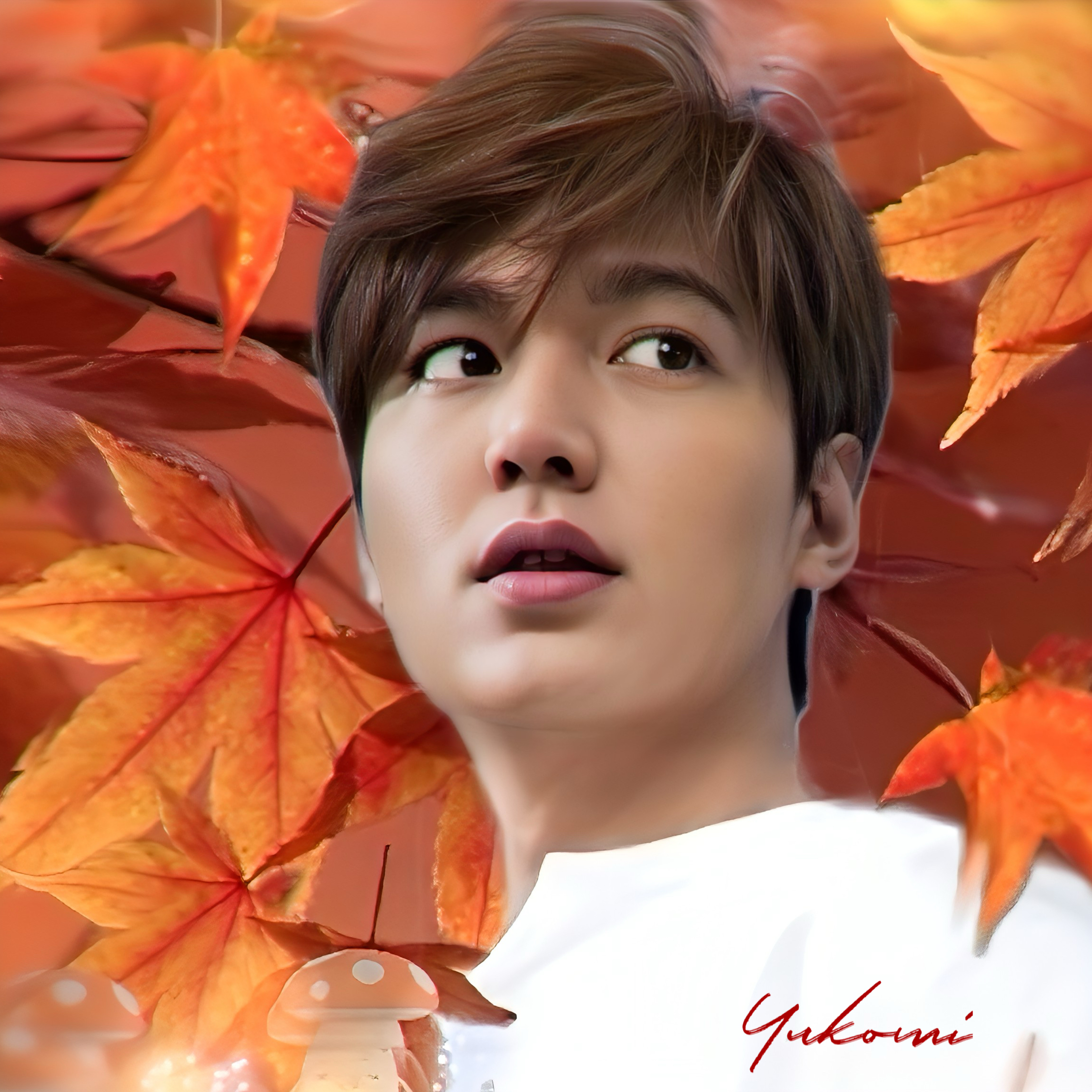 李敏鎬的幕後花絮