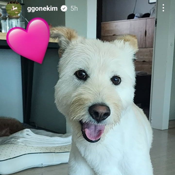 Recent activity shot of Kim Goeun