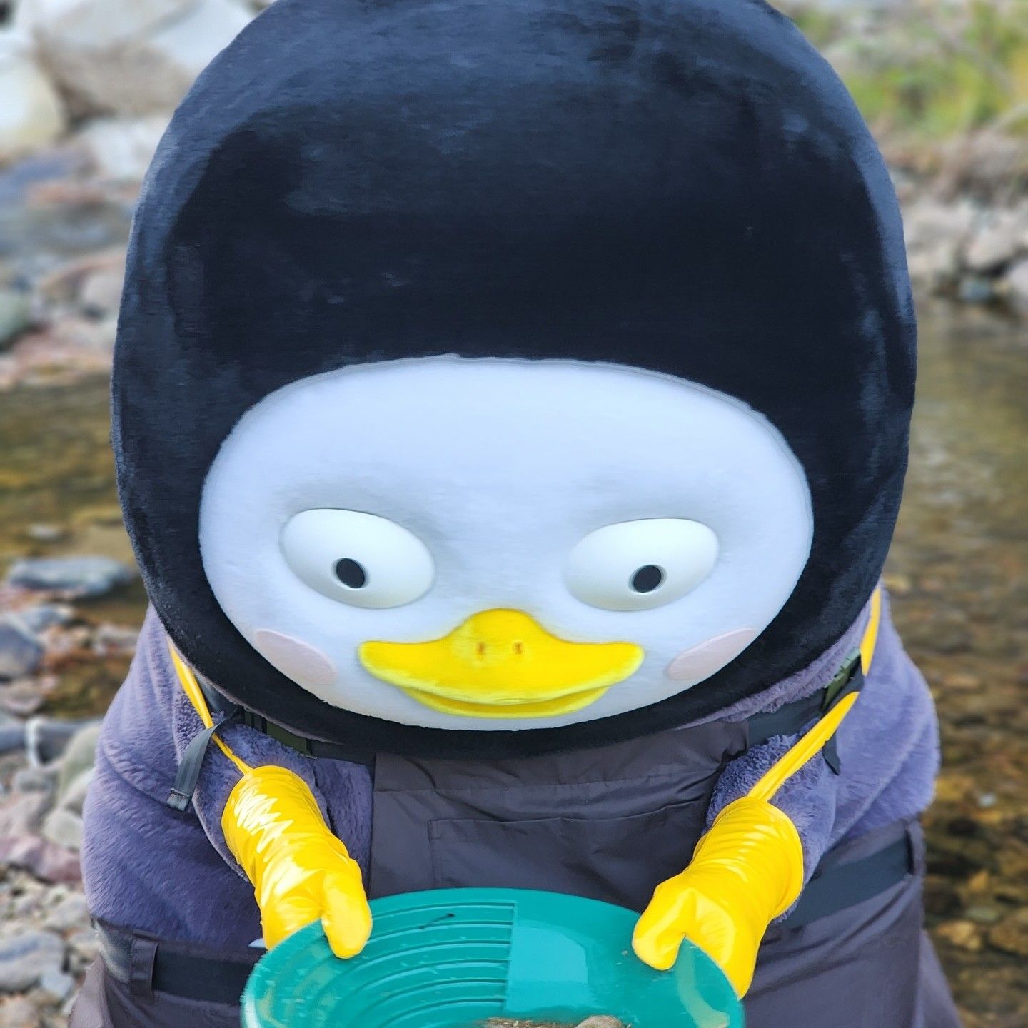 Latest photo of Pengsoo