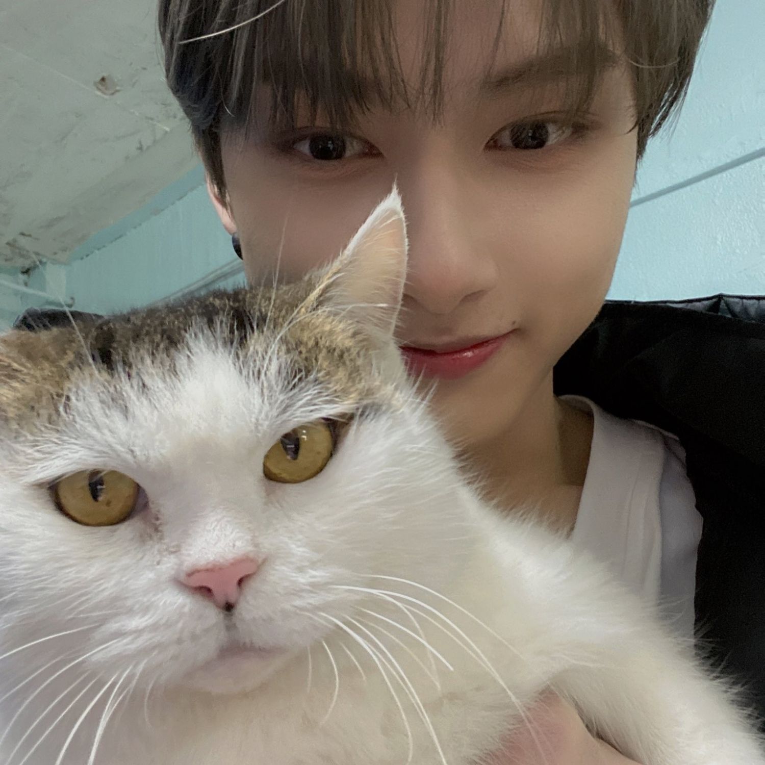 Behind-the-scenes cut of Wen Junhui
