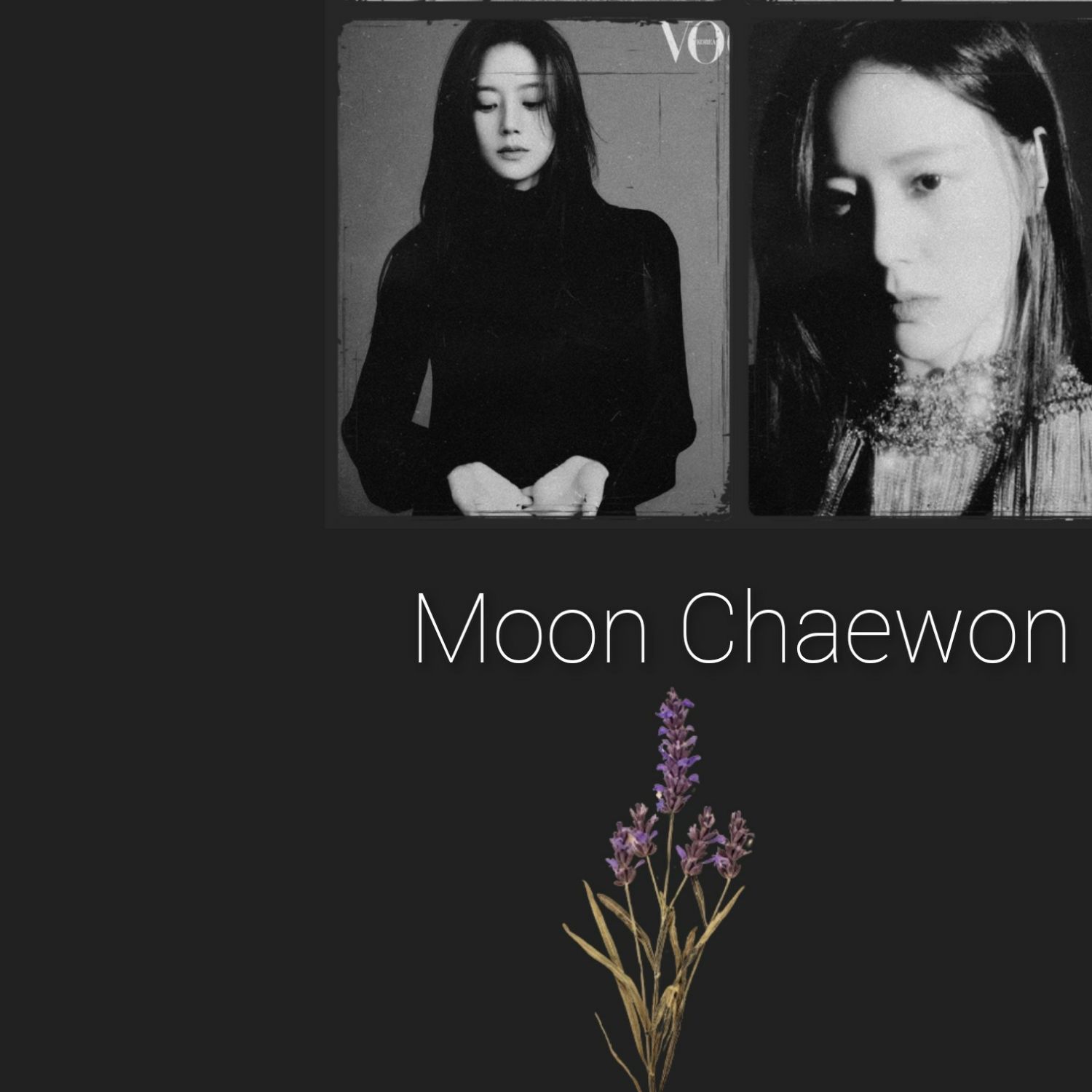 Recent activity shot of Moon Chaewon
