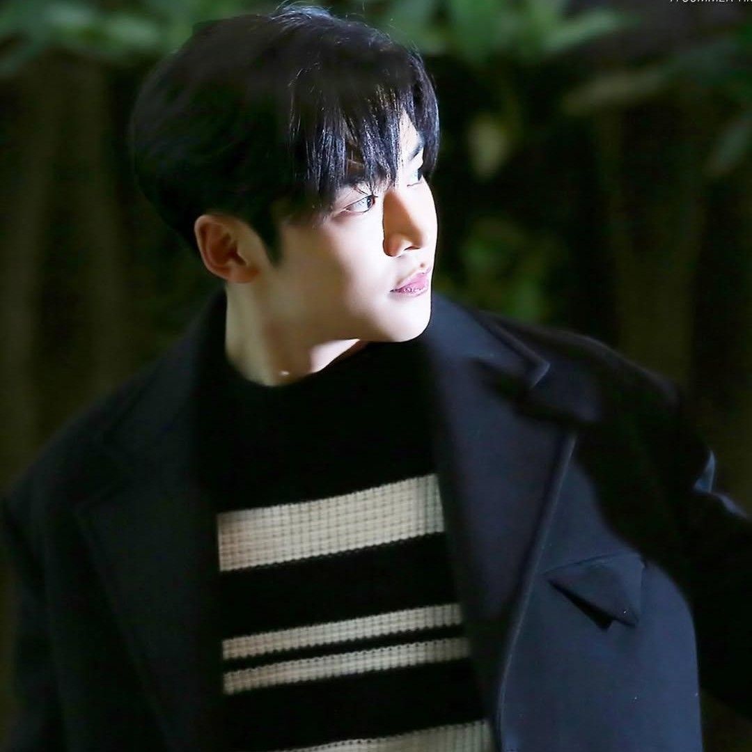 路雲的最新照片