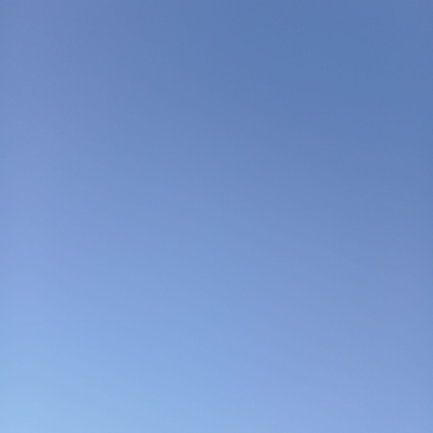 ファンが撮影したソン・フンミンの瞬間