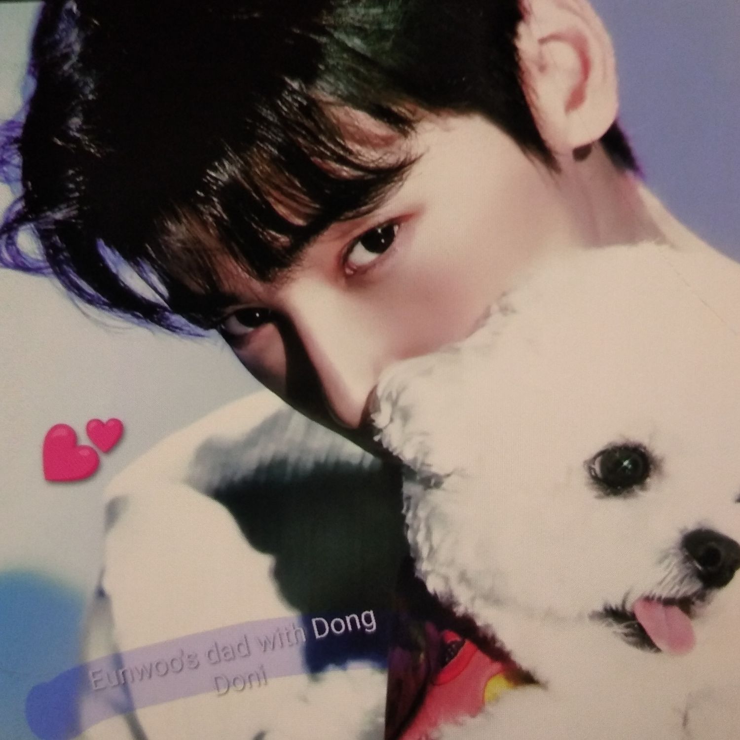 车银优的近期活动照