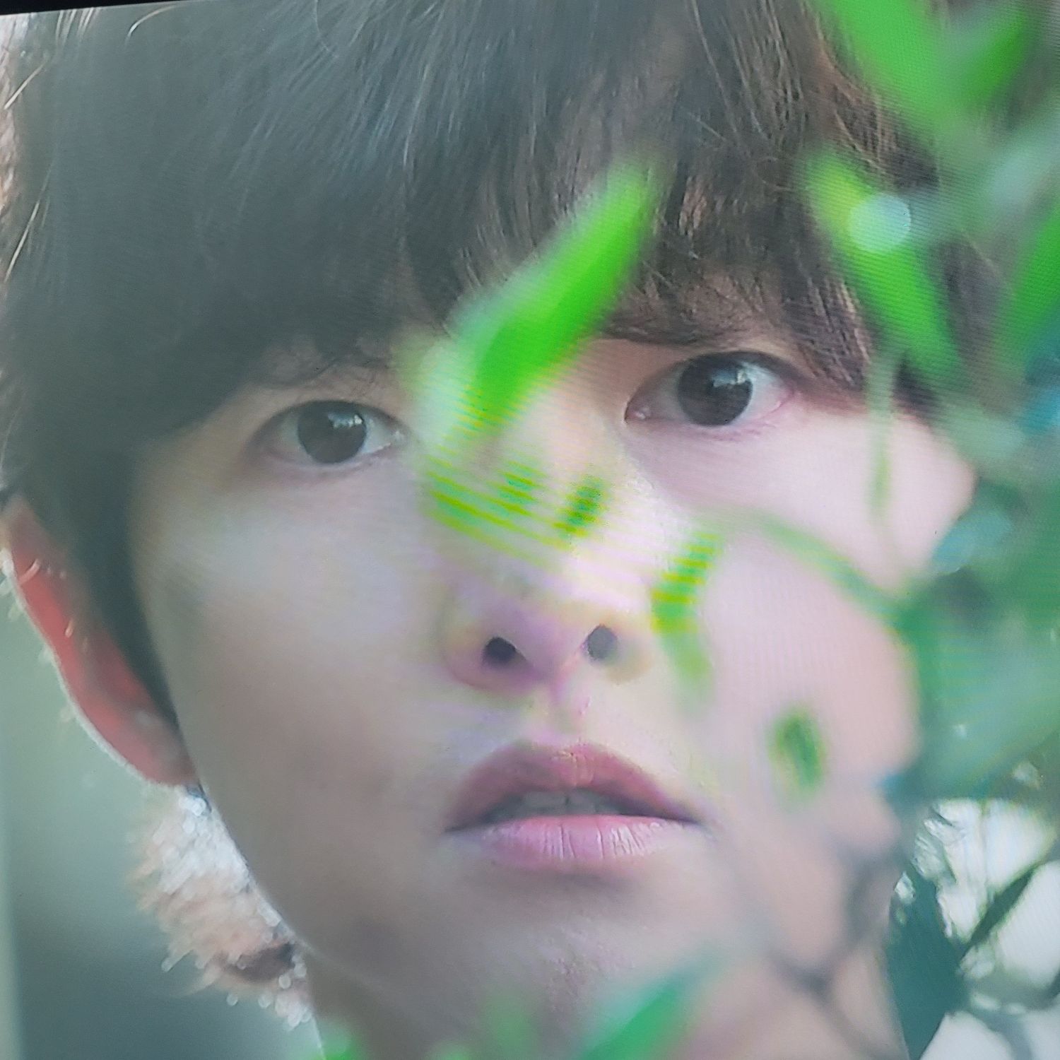 Momen yang diabadikan oleh penggemar Song Joongki