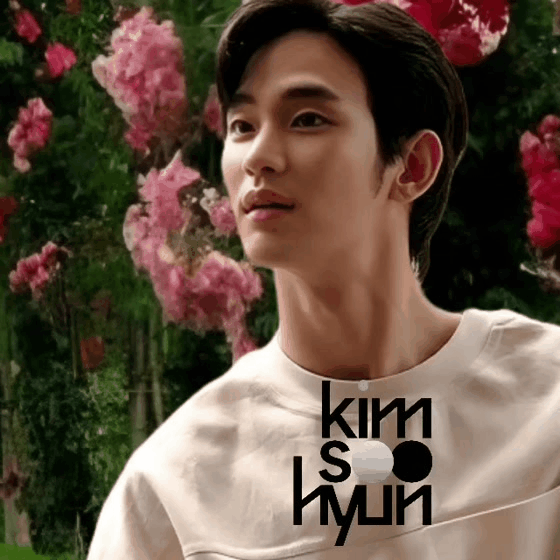 A moment captured by a fan of Kim Soohyun