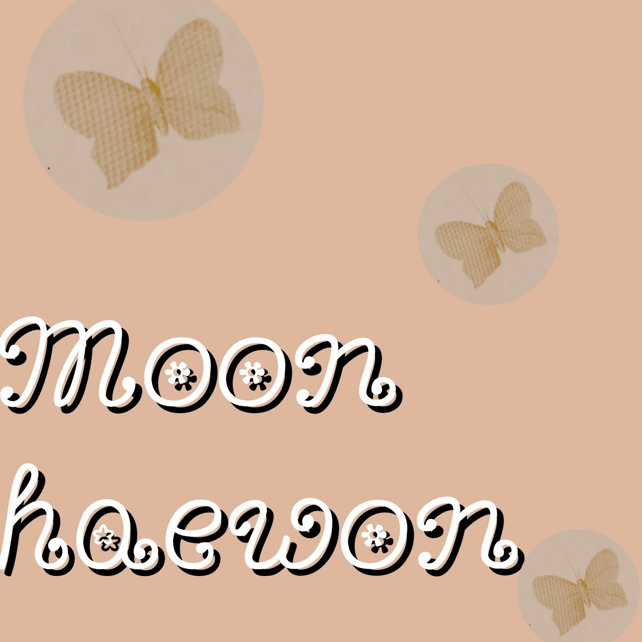 Recent activity shot of Moon Chaewon