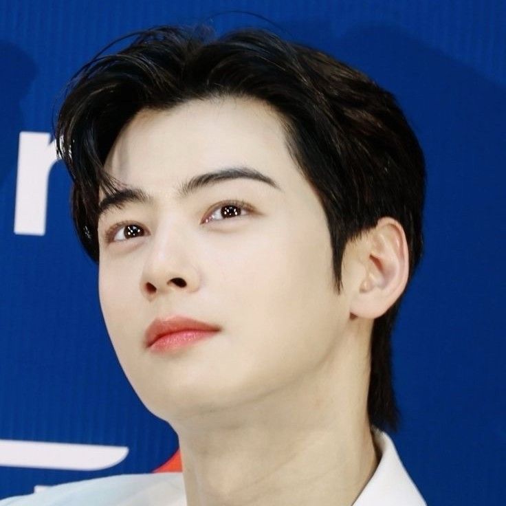 A moment captured by a fan of Cha Eunwoo