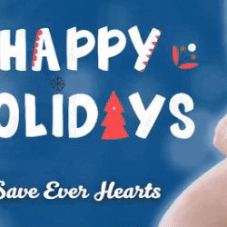 宋智孝的幕后花絮