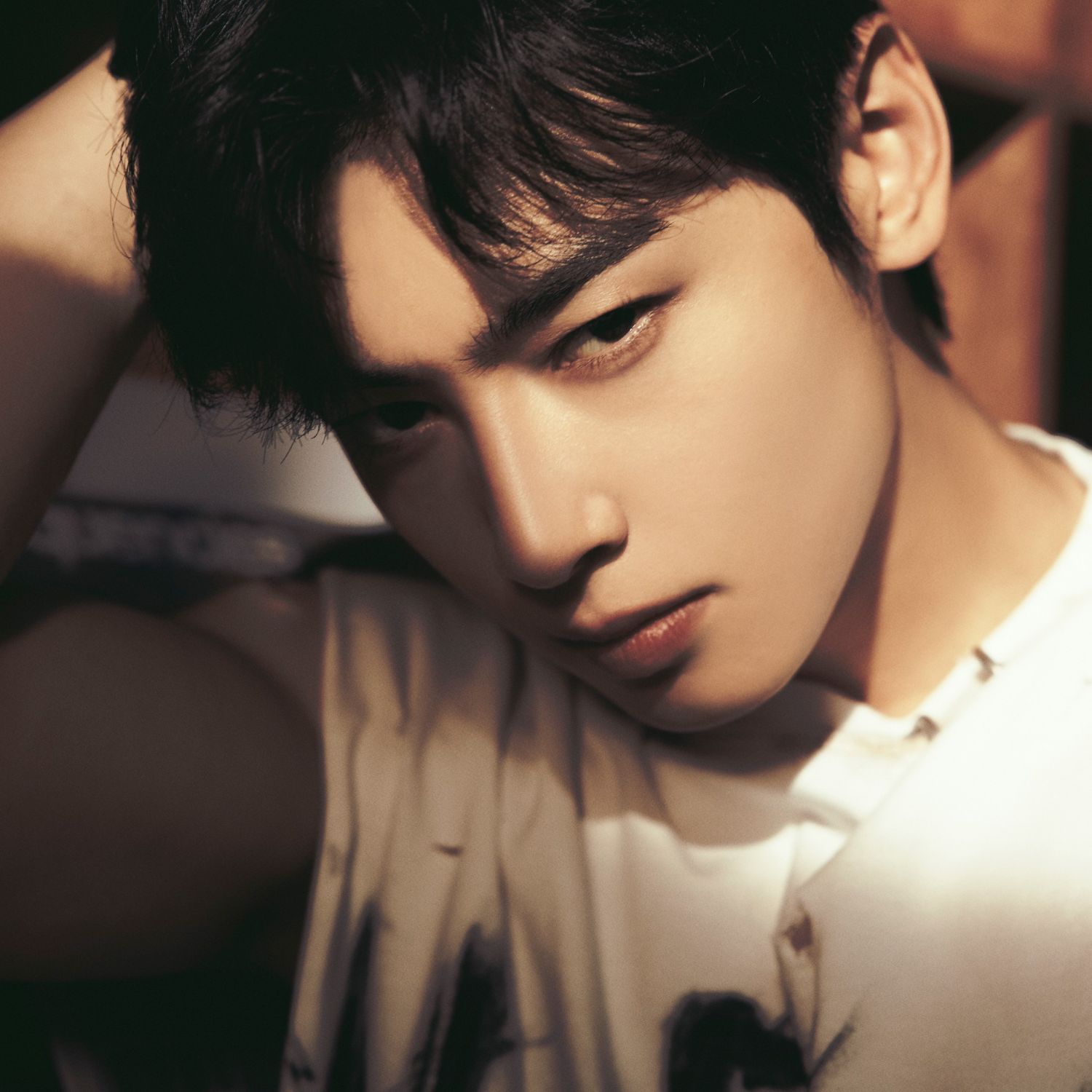 Momen yang diabadikan oleh penggemar Cha Eunwoo