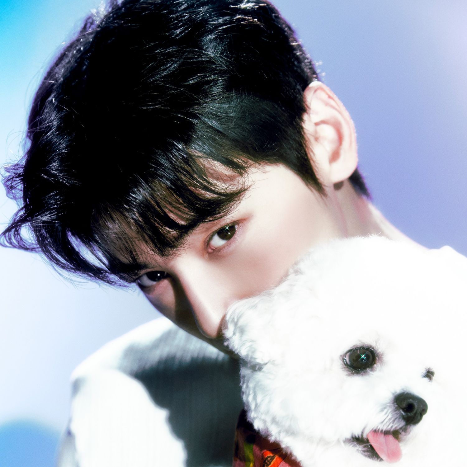 Latest photo of Cha Eunwoo