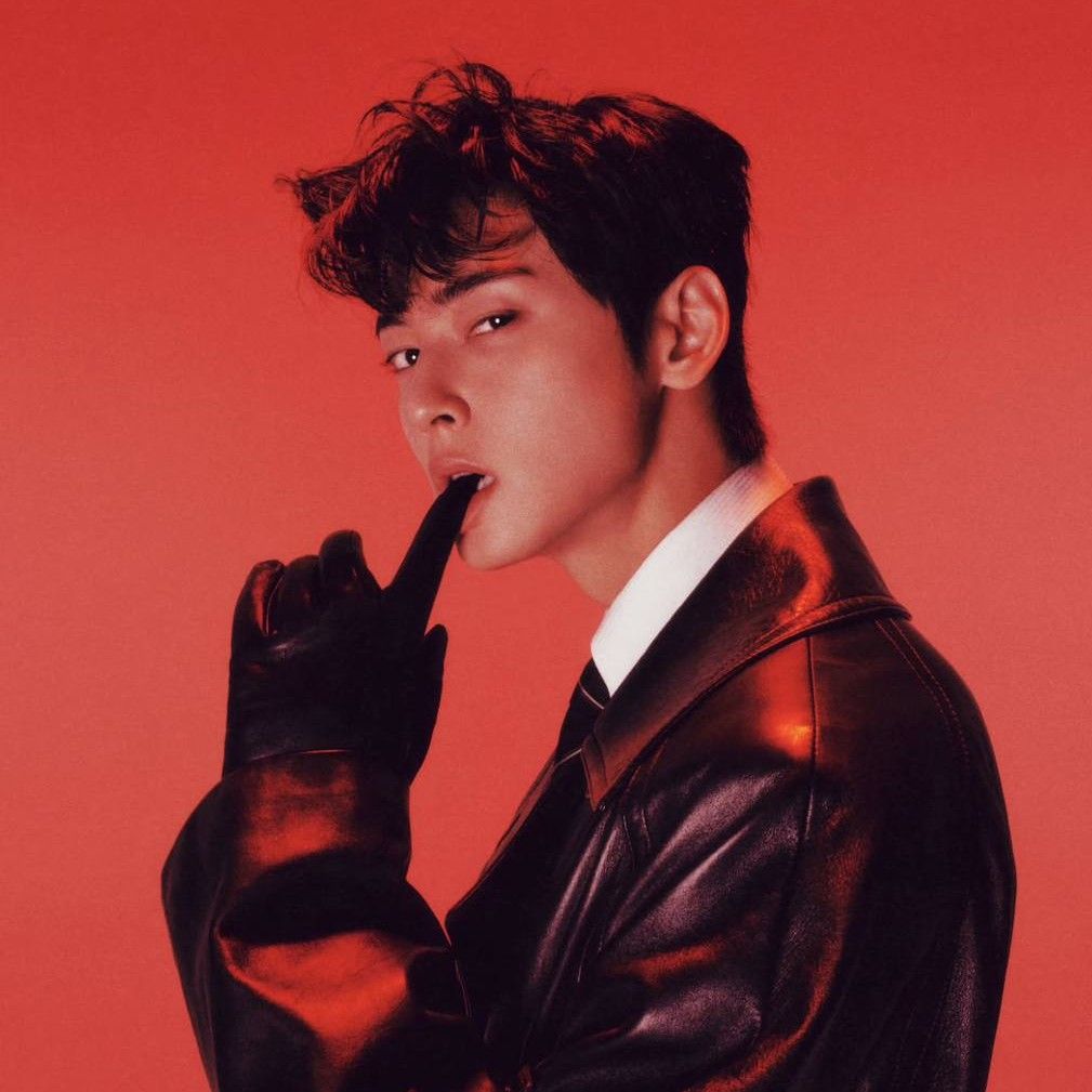 Behind-the-scenes cut of Cha Eunwoo