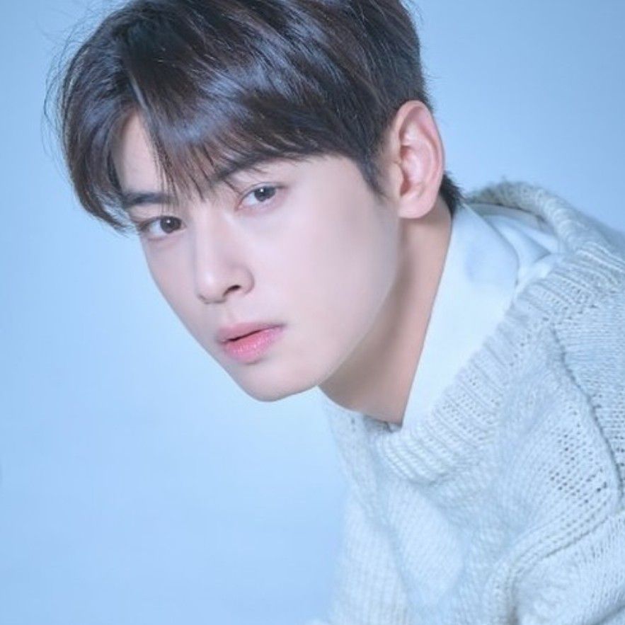 A moment captured by a fan of Cha Eunwoo