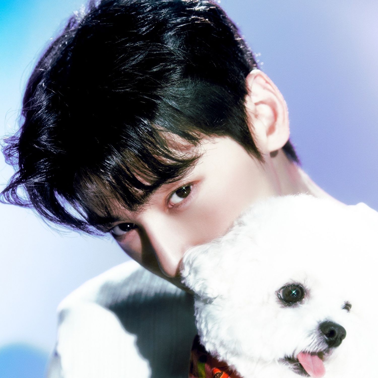 Recent activity shot of Cha Eunwoo