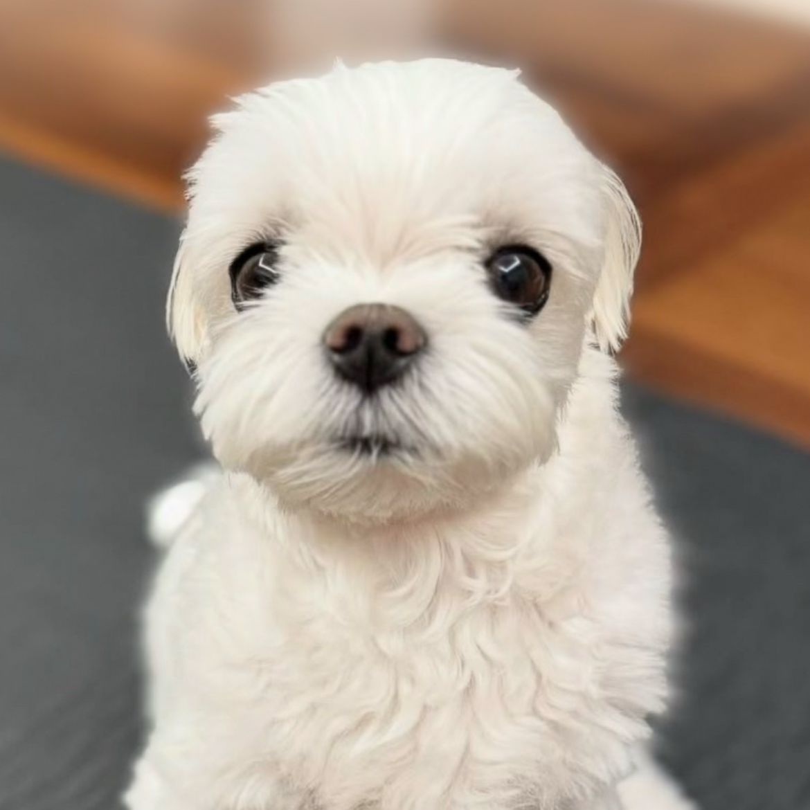Latest photo of Son Yejin
