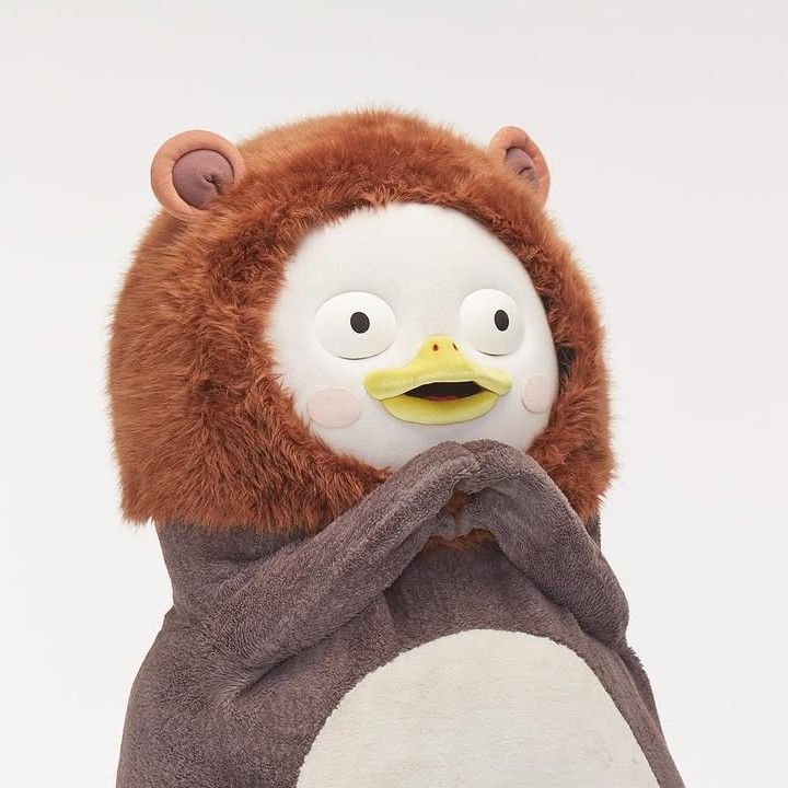 Recent activity shot of Pengsoo