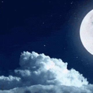 Momen yang diabadikan oleh penggemar Hyun Bin