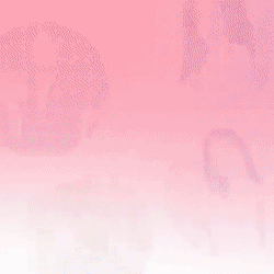 Momen yang diabadikan oleh penggemar Song Jihyo