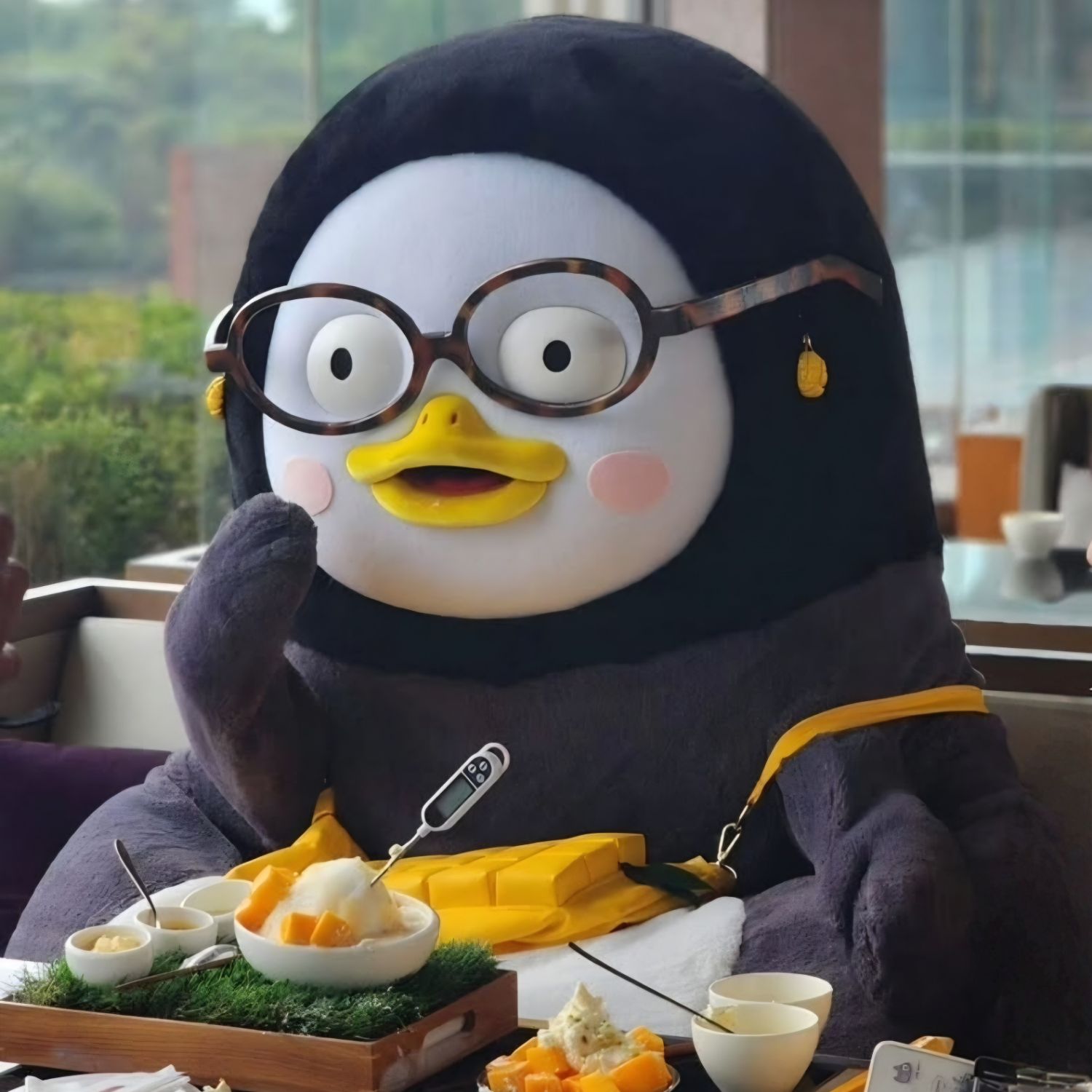 Recent activity shot of Pengsoo