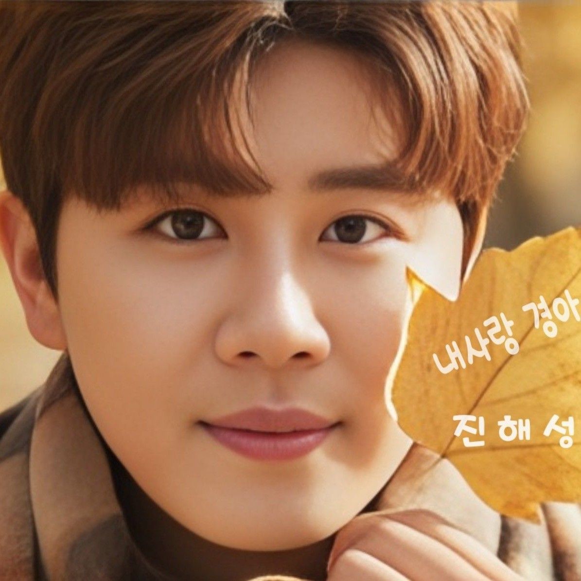 진해성 팬이 찍은 순간