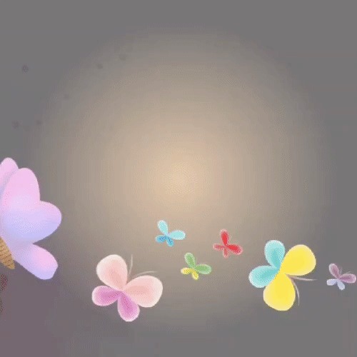 A moment captured by a fan of Kim Hojoong