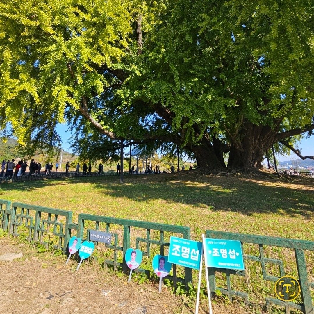 Cuplikan di balik layar dari Jo Myungsup