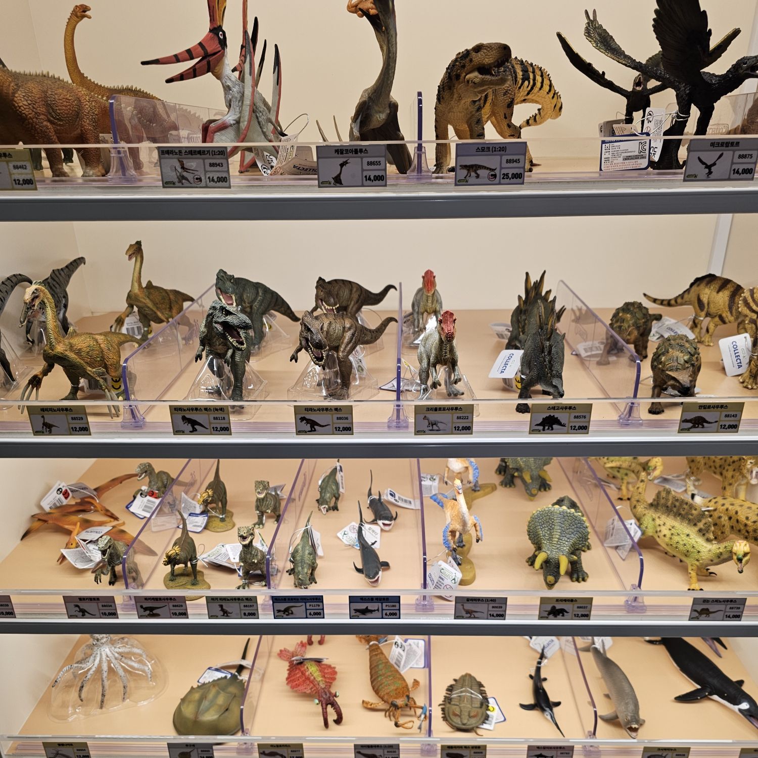 Momen yang diabadikan oleh penggemar Jo Myungsup