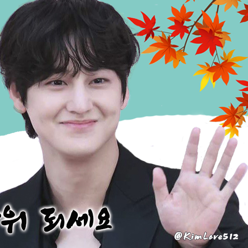 A moment captured by a fan of Kim Bum